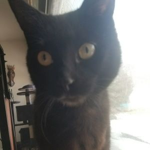 Meet your Posher, Ciara